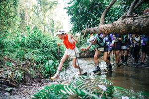 BIB: 
                            <button type="button" onclick="openModal(25475532)" class="btn btn-primary btn-sm float-right btn-popup" data-toggle="modal" data-target=".modal-high-quality">
                        <i class="fas fa-shopping-cart"></i> Add to Cart
                    </button>
                                            <button type="button" onclick="isThisMe(25475532, true)" class="btn btn-success btn-sm float-right btn-popup btn-isme hidden" data-toggle="tooltip" data-placement="bottom" title="นี่คือรูปของคุณใช่ไหม คลิกที่นี่เพื่อเอาเข้าอัลบั้ม">
                        <i class="fas fa-plus"></i> Add to album
                    </button>
                    <button type="button" onclick="isThisMe(25475532, false)" class="btn btn-warning btn-sm float-right btn-popup btn-isnotme hidden">
                        <i class="fas fa-ban"></i> Remove from album
                    </button>